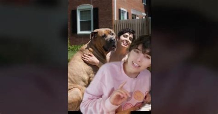 Does Scary Dog Privilege Really Stop Catcalling?